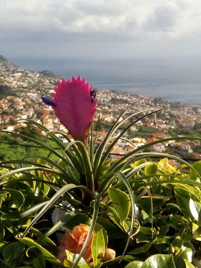 La Chambre De Ker Briac Funchal  Exteriér fotografie